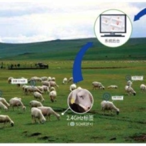 畜牧业标签、智能冷链物流、资产管理Si24R2F+ 2.4GHz智慧方案开发资料